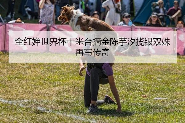 全红婵世界杯十米台摘金陈芋汐揽银双姝再写传奇
